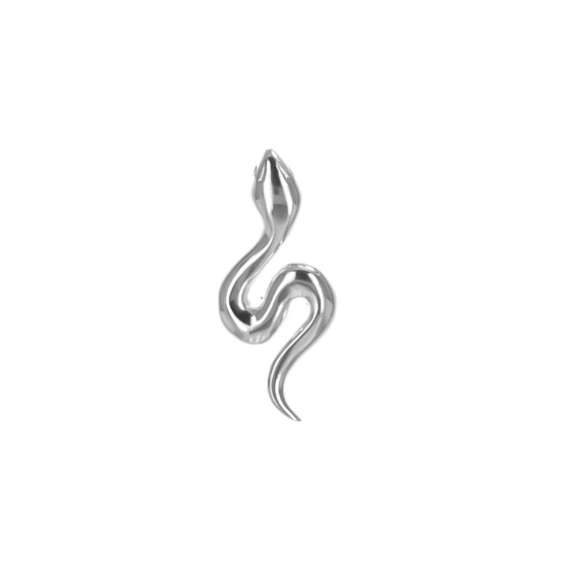 Stříbrný přívěsek - had
