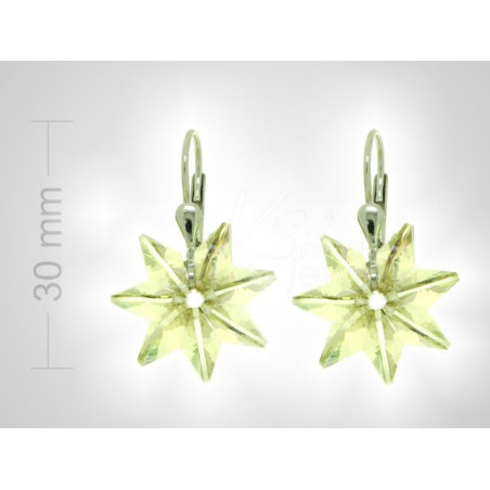 Stříbrné náušnice - květ života, kvítek