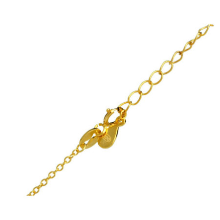Pozlacený stříbrný náhrdelník - kotva, délka 41 až 44 cm